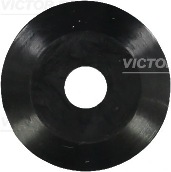 Seal Ring, valve stem